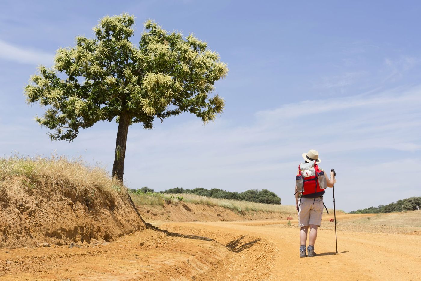 Camino de Santiago to Compostela with pilgrim woman with backpack and scallop symbol